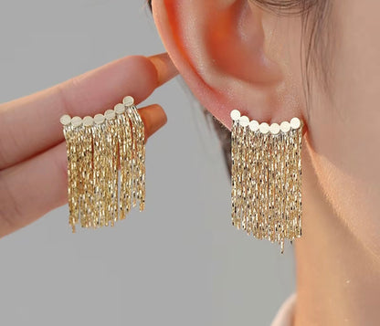 Minimalist Earrings Ms38